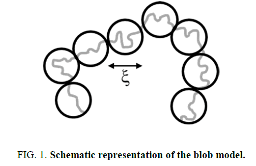 chemxpress-blob-model