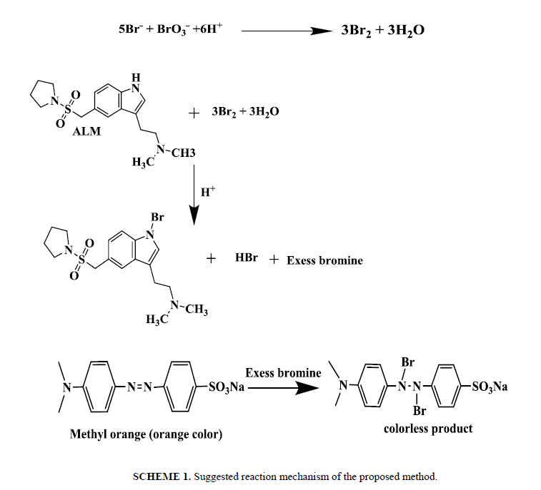chemxpress-bromide-mechanism