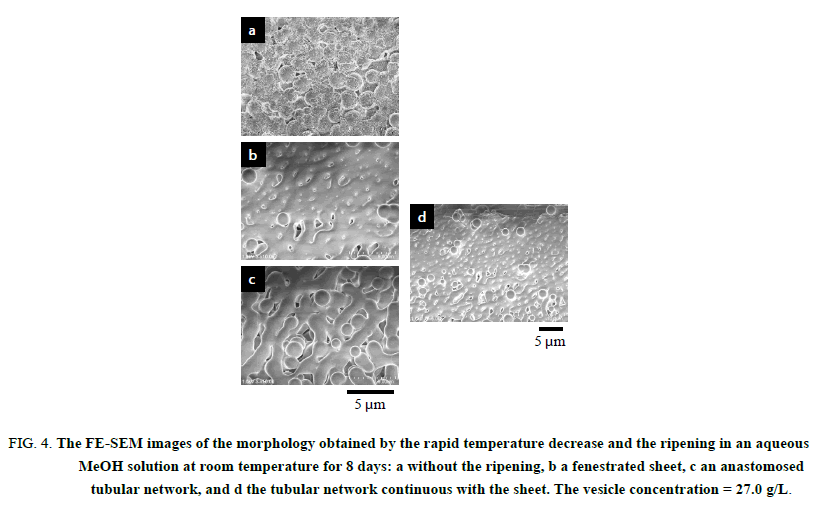 chemxpress-rapid-temperature-decrease-ripening-aqueous