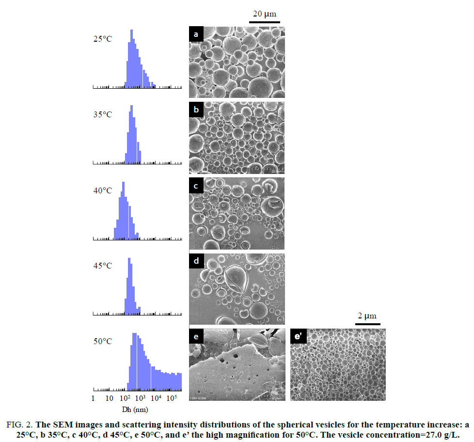 chemxpress-scattering-intensity-distributions