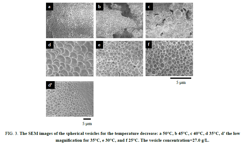 chemxpress-spherical-vesicles-temperature-decrease