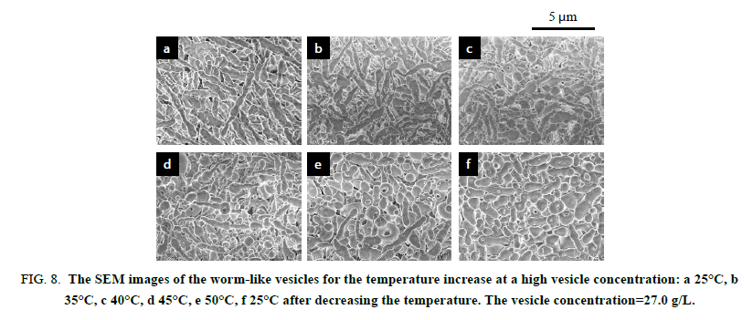 chemxpress-worm-like-vesicles-temperature-increase