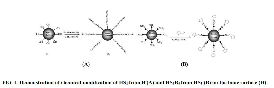 environmental-science-Demonstration-chemical-modification