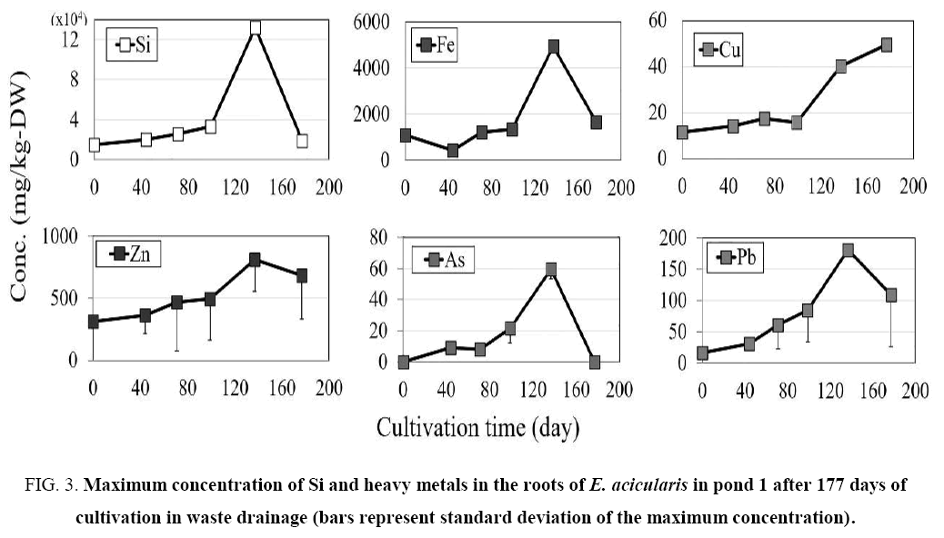 environmental-science-Maximum-concentration