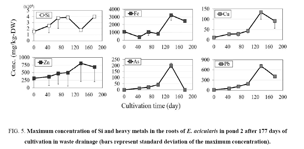 environmental-science-Maximum-concentration