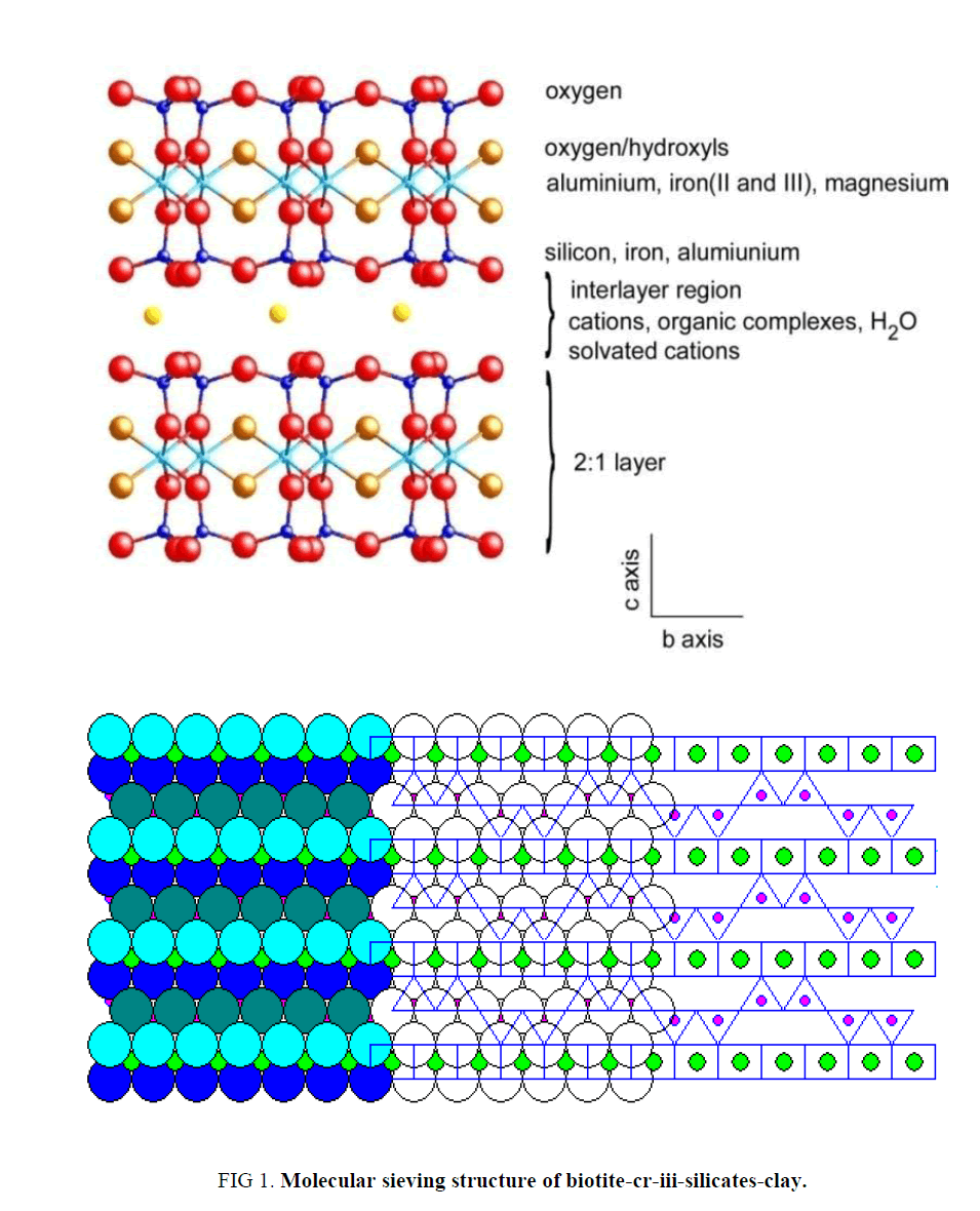 environmental-science-Molecular-sieving-structure