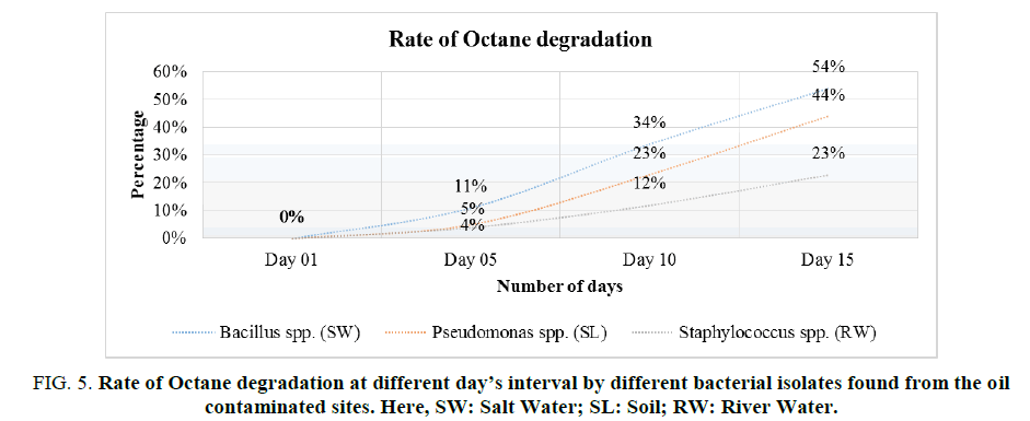 environmental-science-Octane-degradation