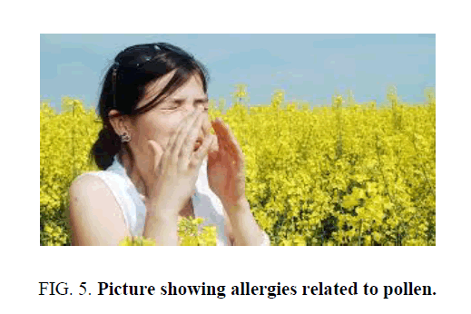 environmental-science-allergies