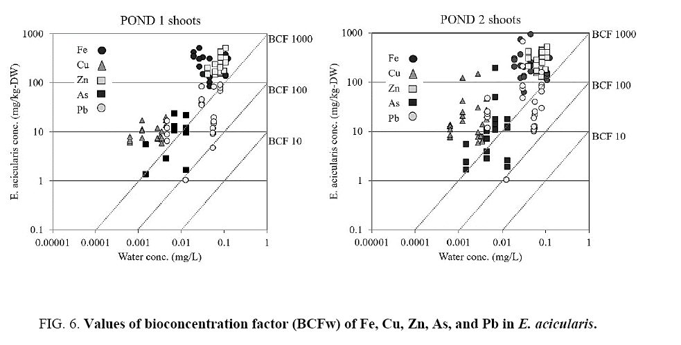 environmental-science-bioconcentration-factor