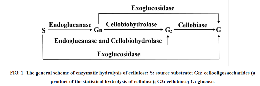 environmental-science-enzymatic