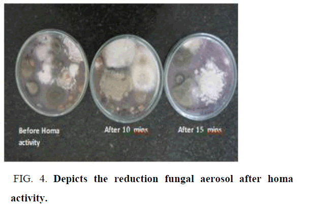 environmental-science-fungal