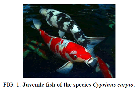 environmental-science-juvenile