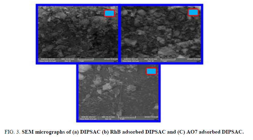 environmental-science-micrographs