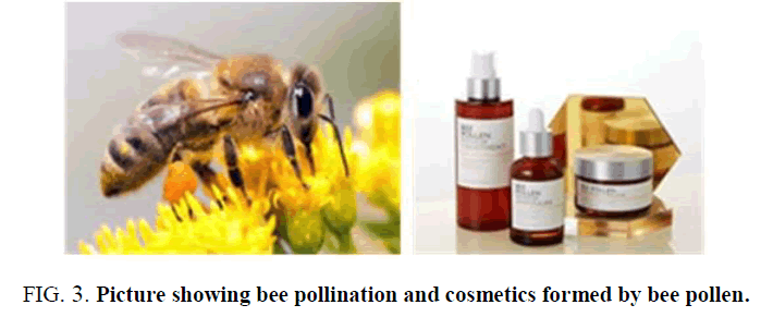 environmental-science-pollen