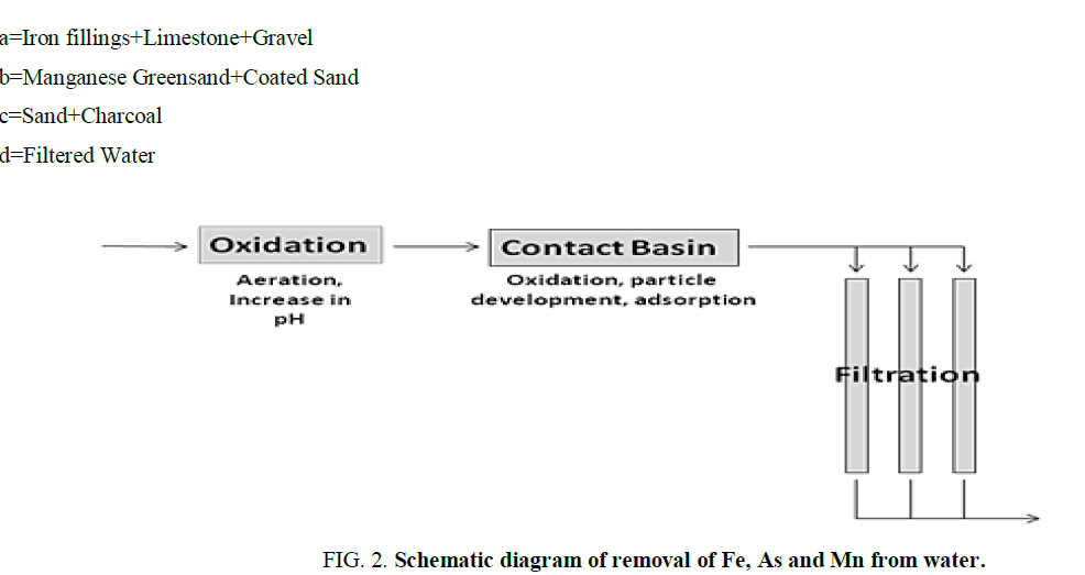 environmental-science-removal