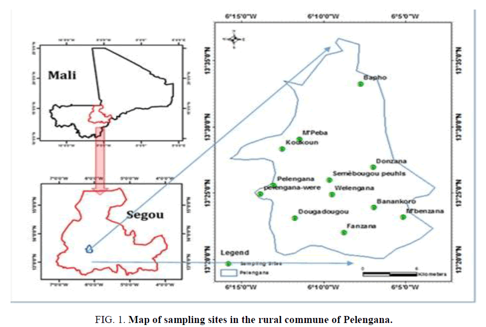 environmental-science-rural-commune