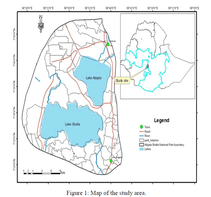 environmental-science-study-area