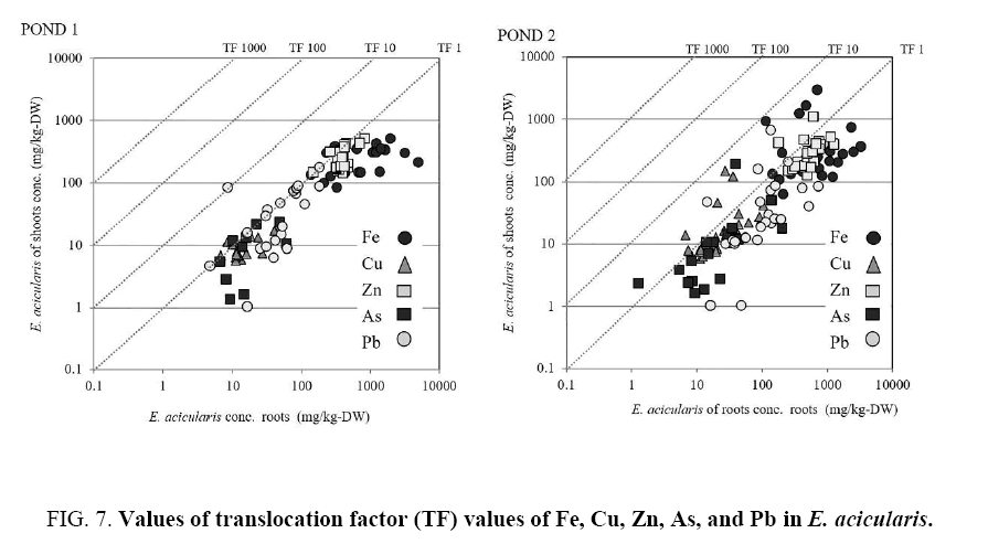 environmental-science-translocation-factor