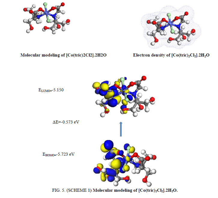 inorganic-chemistry-molecular