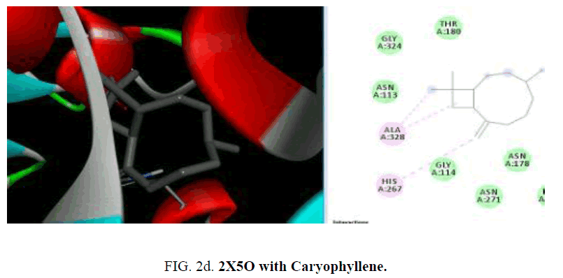 international-journal-chemical-sciences-Caryophyllene