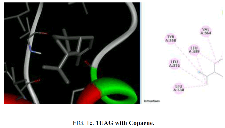 international-journal-chemical-sciences-Copaene