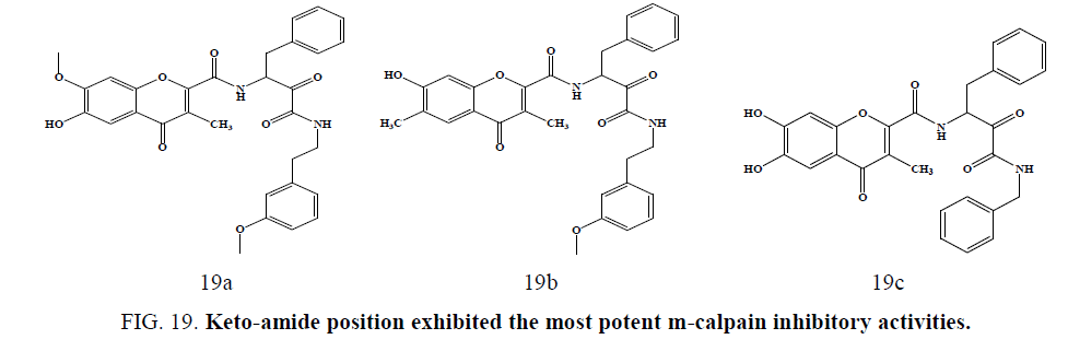 international-journal-chemical-sciences-Keto-amide