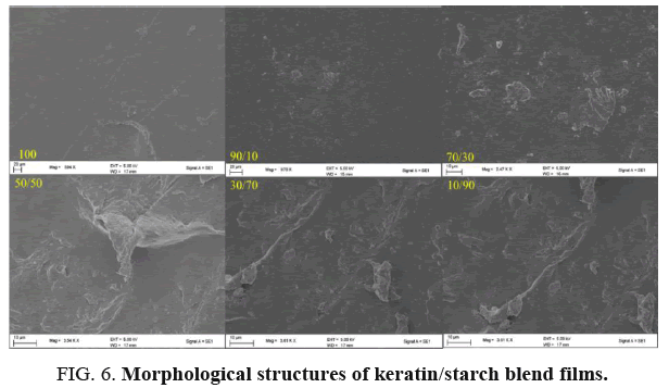 international-journal-chemical-sciences-Morphological-structures