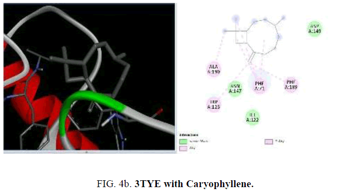 international-journal-chemical-sciences-TYE-Caryophyllene