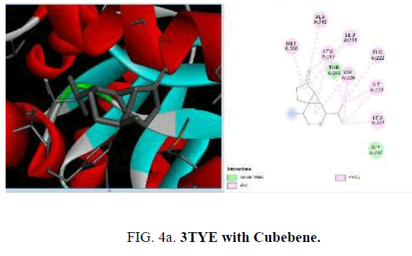 international-journal-chemical-sciences-TYE-Cubebene