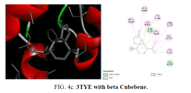 international-journal-chemical-sciences-TYE-Cubebene