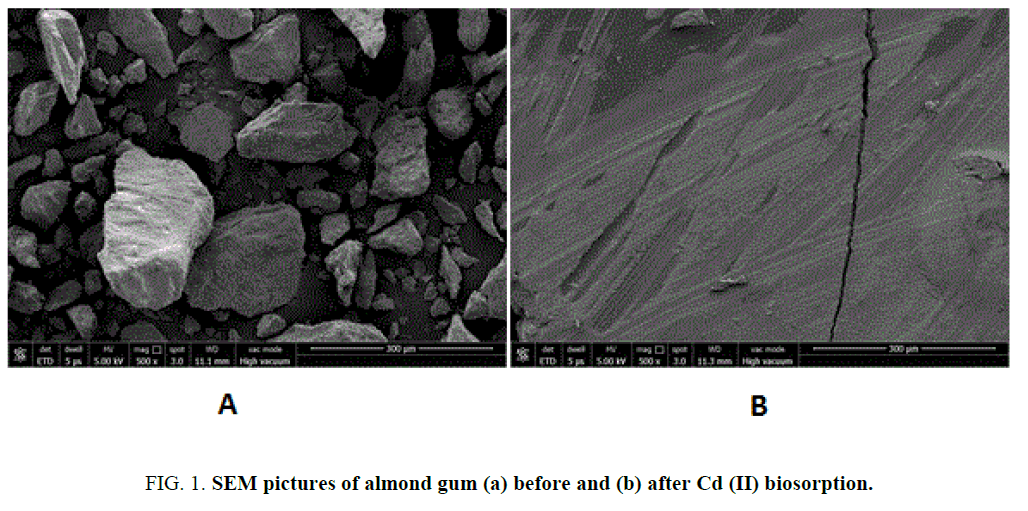 international-journal-chemical-sciences-almond-gum