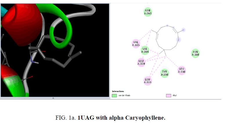 international-journal-chemical-sciences-alpha-Caryophyllene