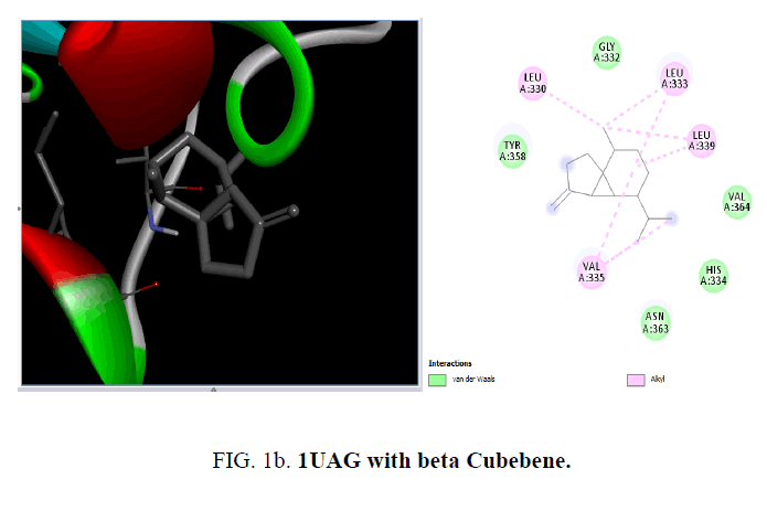 international-journal-chemical-sciences-beta-Cubebene