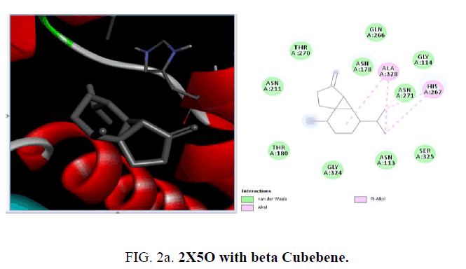 international-journal-chemical-sciences-beta-Cubebene