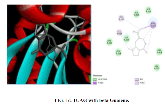 international-journal-chemical-sciences-beta-Guaiene