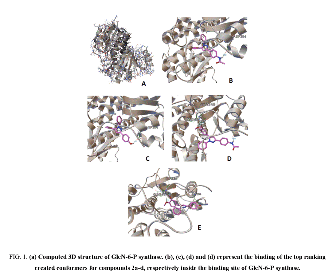 international-journal-chemical-sciences-binding-site