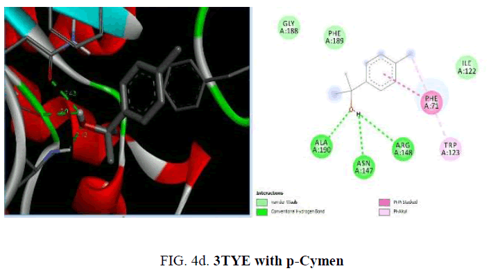 international-journal-chemical-sciences-p-Cymen