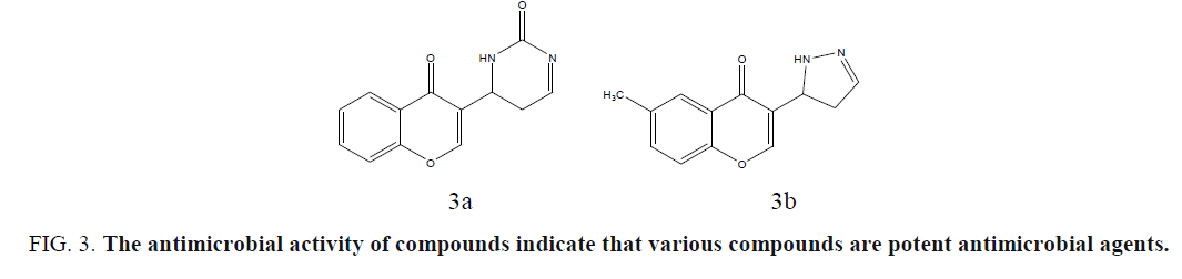 international-journal-chemical-sciences-potent-antimicrobial