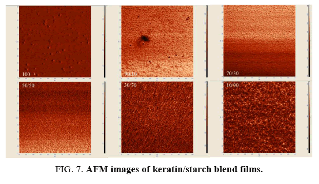 international-journal-chemical-sciences-starch-blend