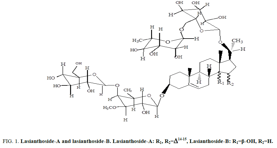 international-journal-of-chemical-sciences-Lasianthoside