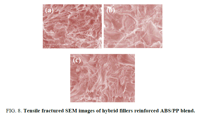 international-journal-of-chemical-sciences-Tensile-fractured-SEM-images