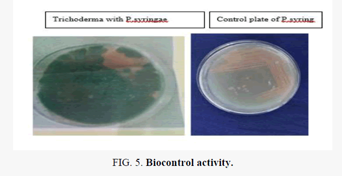 macromolecules-Biocontrol