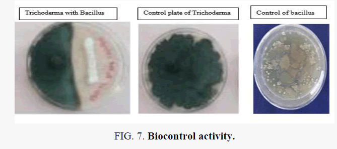 macromolecules-Biocontrol