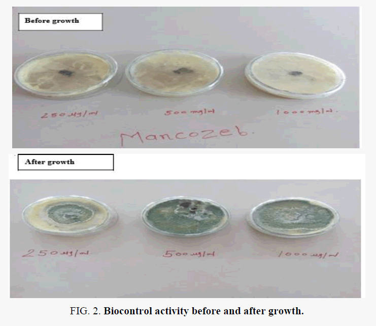 macromolecules-Biocontrol-activity