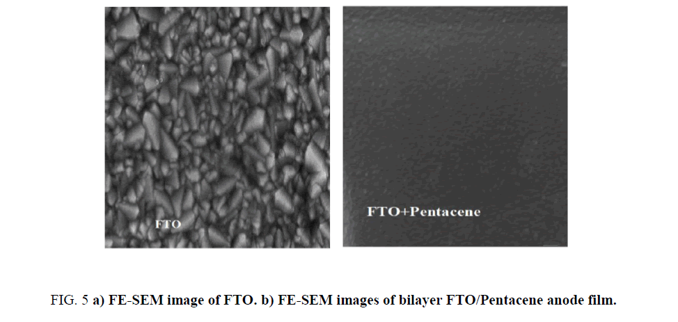 materials-science-FE-SEM-image