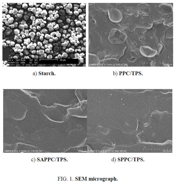 materials-science-SEM-micrograph