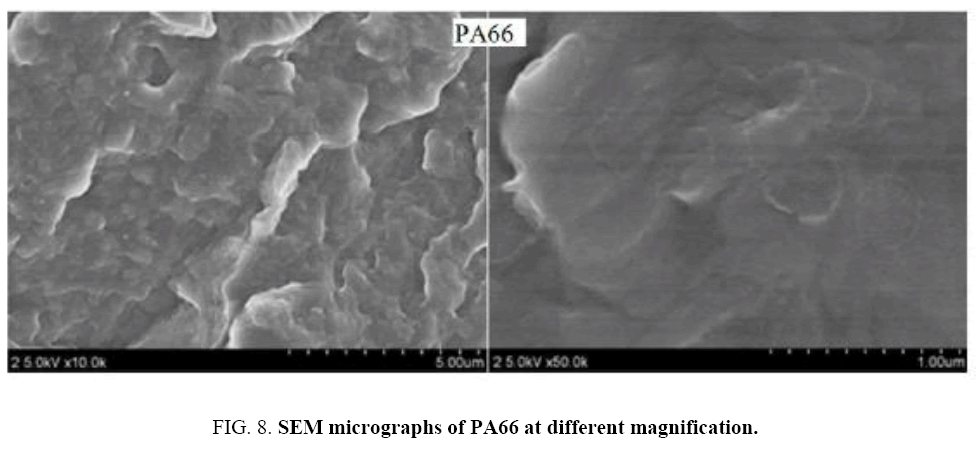 materials-science-SEM-micrographs
