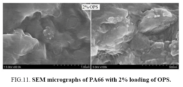 materials-science-SEM-micrographs