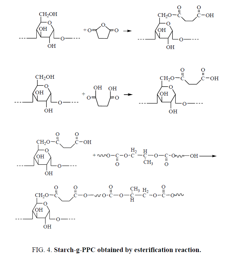 materials-science-Starch-g-PPC