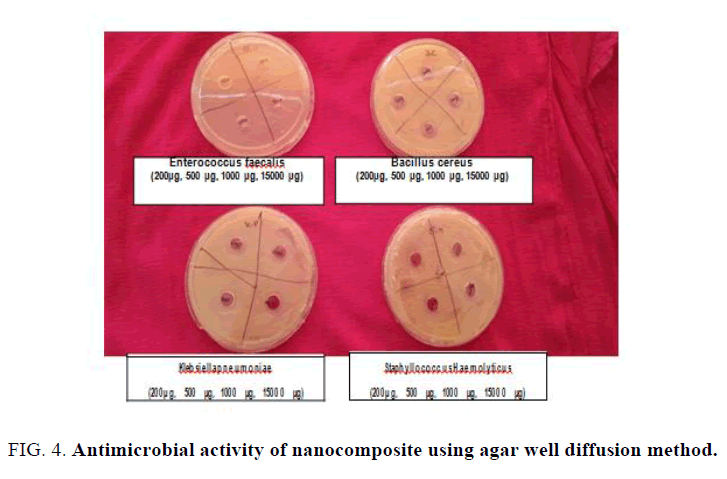 materials-science-agar-diffusion